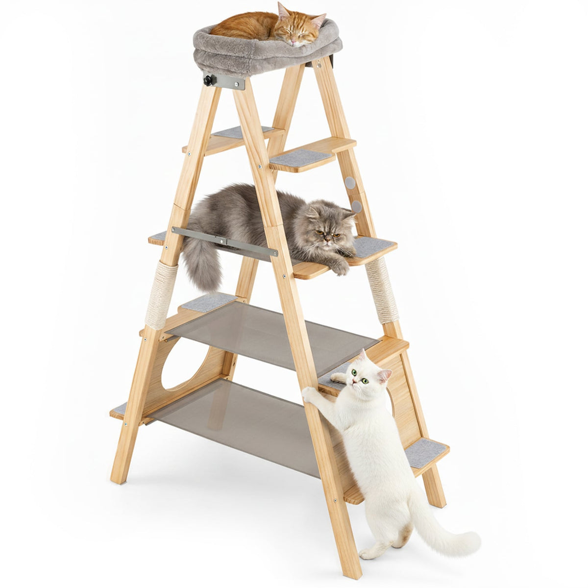 Arbre à chat pliant en bois multi-niveaux