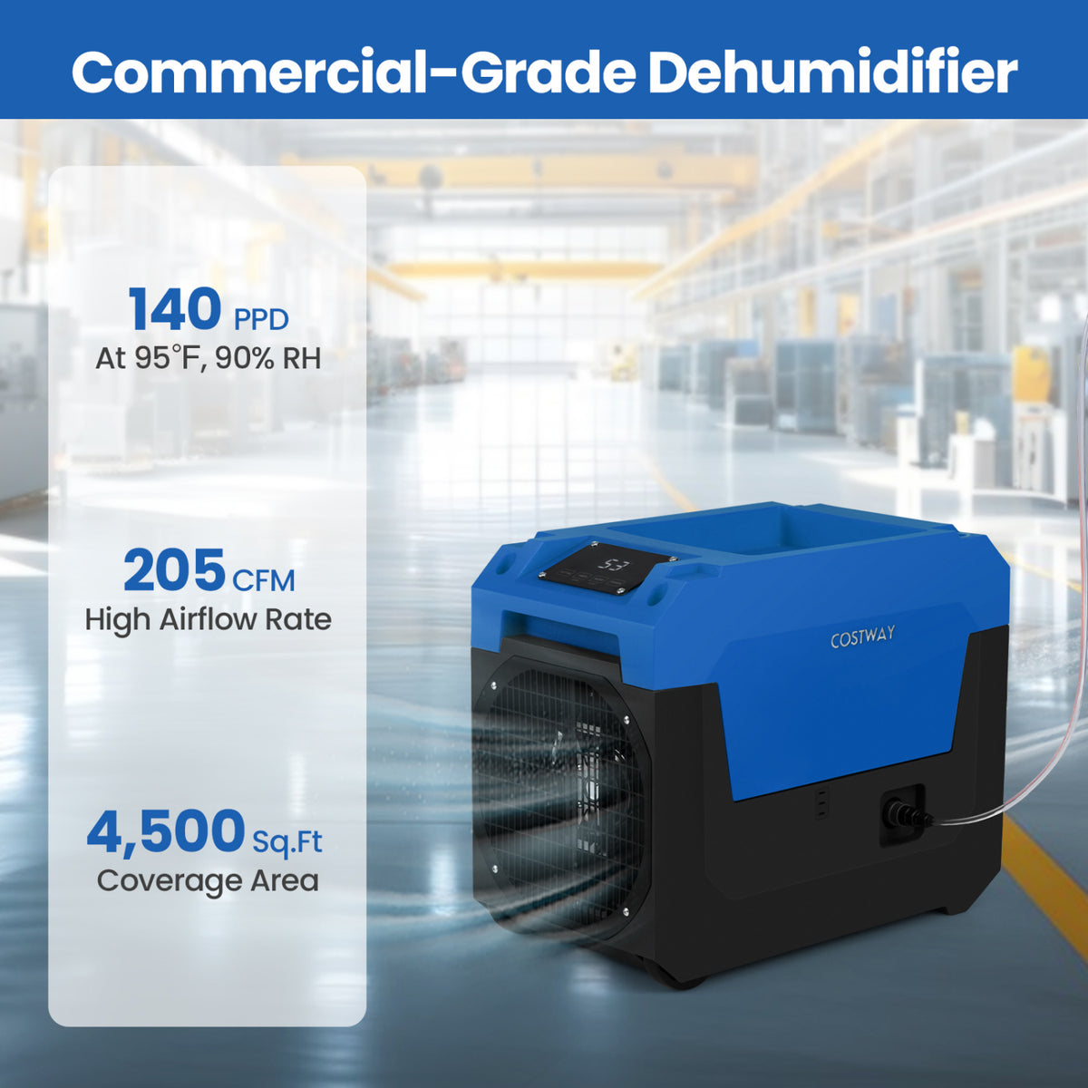 Déshumidificateur commercial 66 L avec pompe et tuyau
