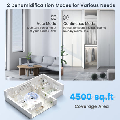Déshumidificateur d'air grand format 418 m²
