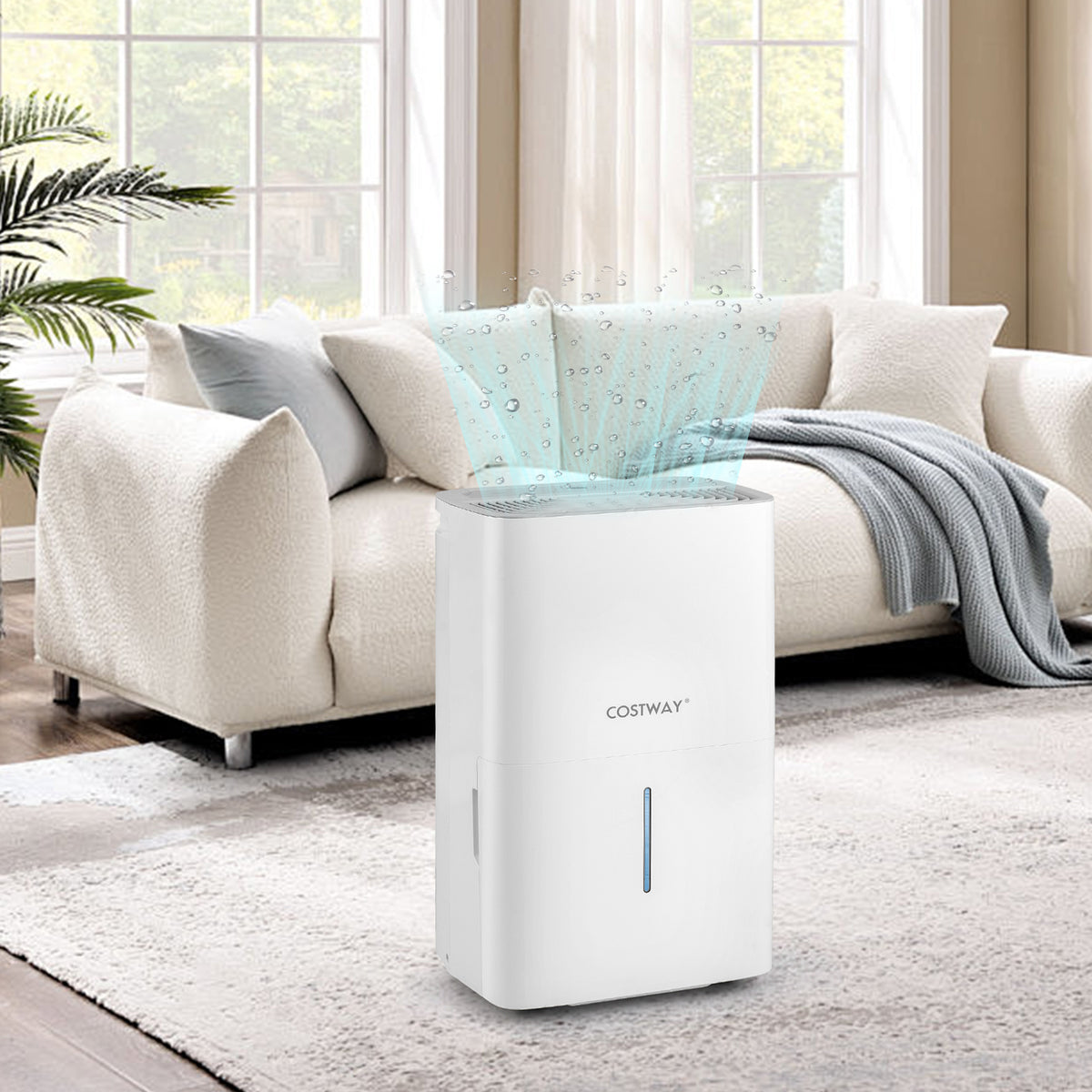 Déshumidificateur 31 litres avec minuterie 24 heures et affichage DEL