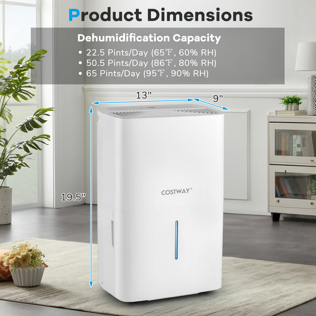 Déshumidificateur 31 litres avec minuterie 24 heures et affichage DEL
