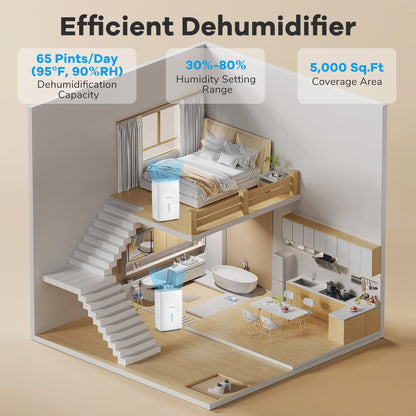 Déshumidificateur 31 litres avec minuterie 24 heures et affichage DEL