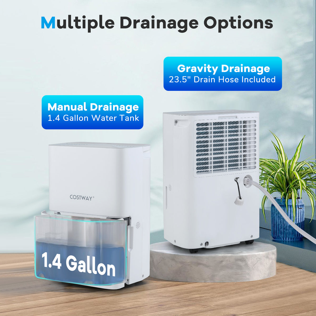 Déshumidificateur 31 litres avec minuterie 24 heures et affichage DEL