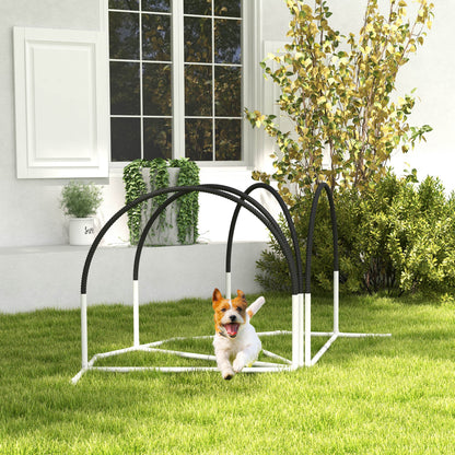 Dog Agility Training Equipment Set — Set of 4