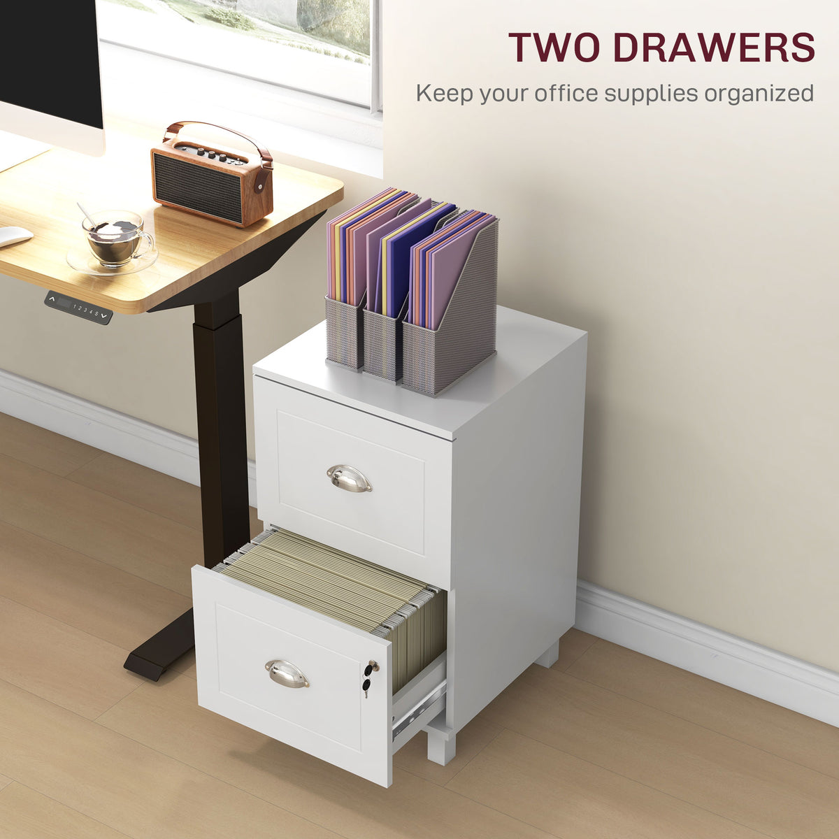 Lockable 2-Drawer Filing Cabinet with Adjustable Hanging Bars