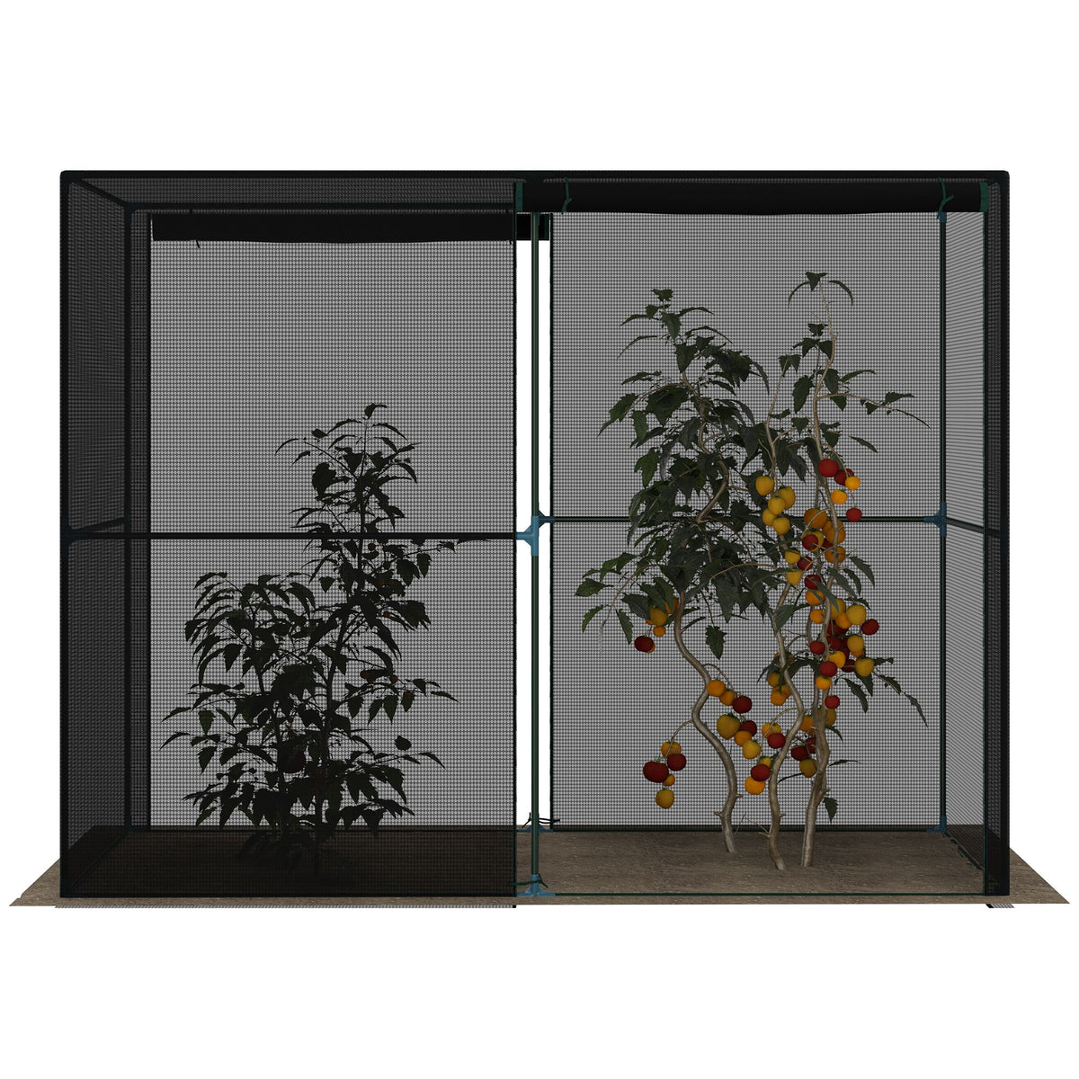 Serre jardin extérieure robuste 287x120x185 cm — photo 6