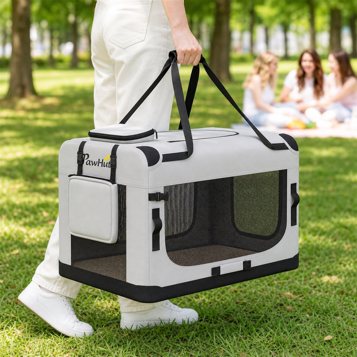 Soft-sided pet carrier bag