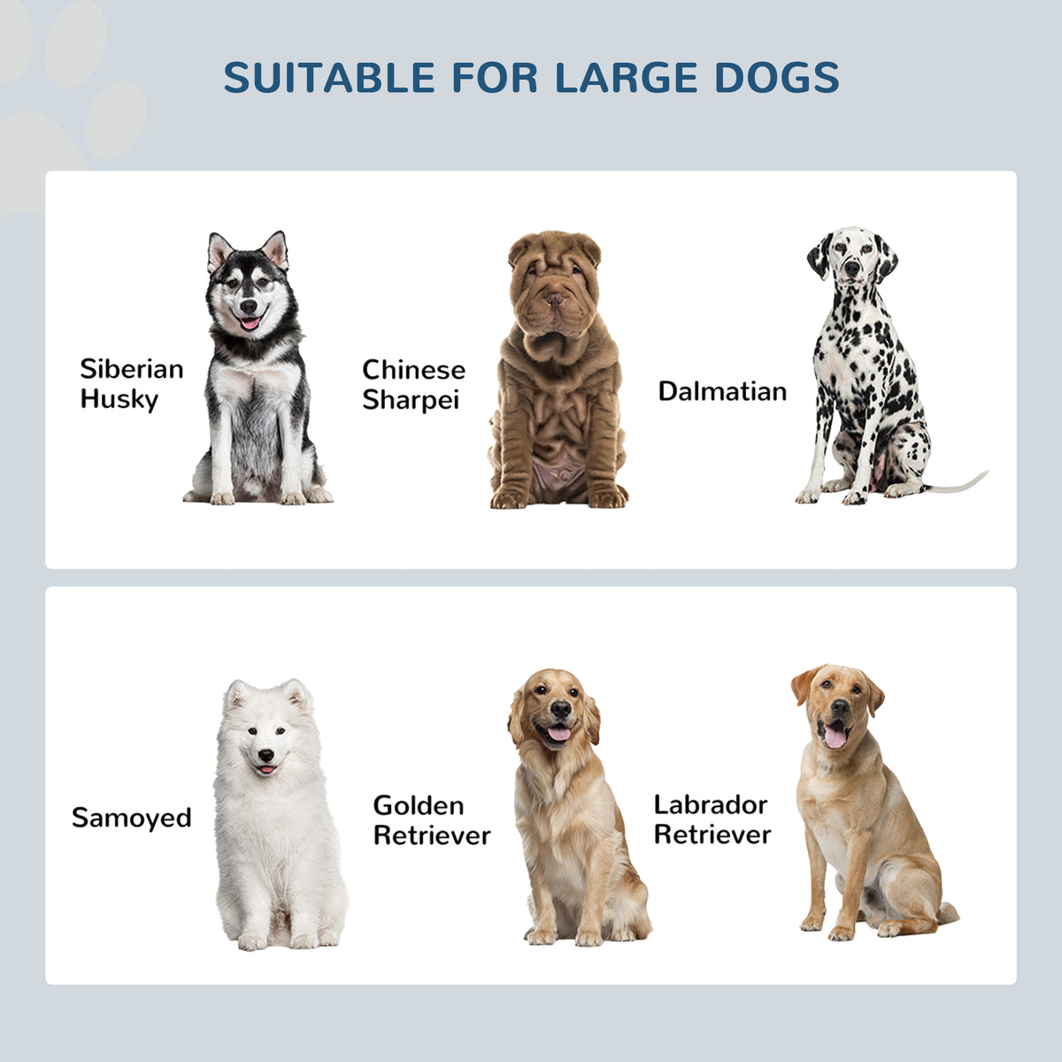 Elevated Dog Feeding Station with Storage — White