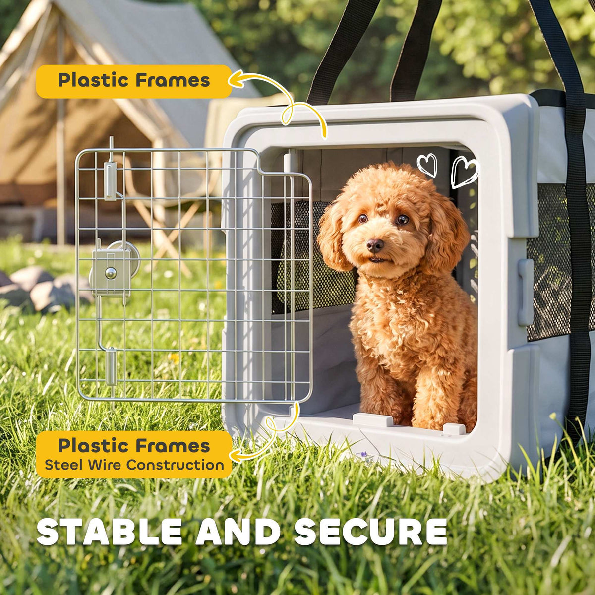 Soft-sided foldable small pet carrier bag