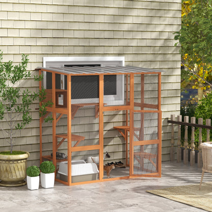 Multi-level outdoor cat enclosure with transparent roof