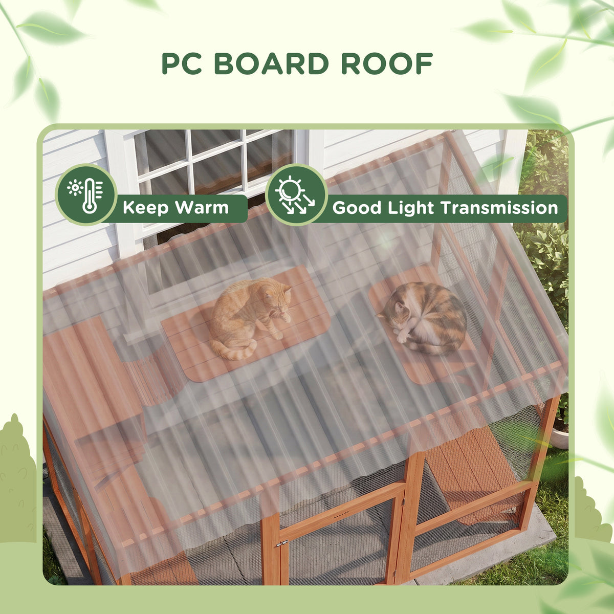 Multi-level outdoor cat enclosure with transparent roof