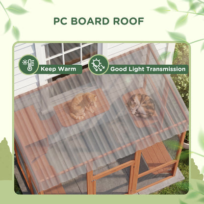 Multi-level outdoor cat enclosure with transparent roof