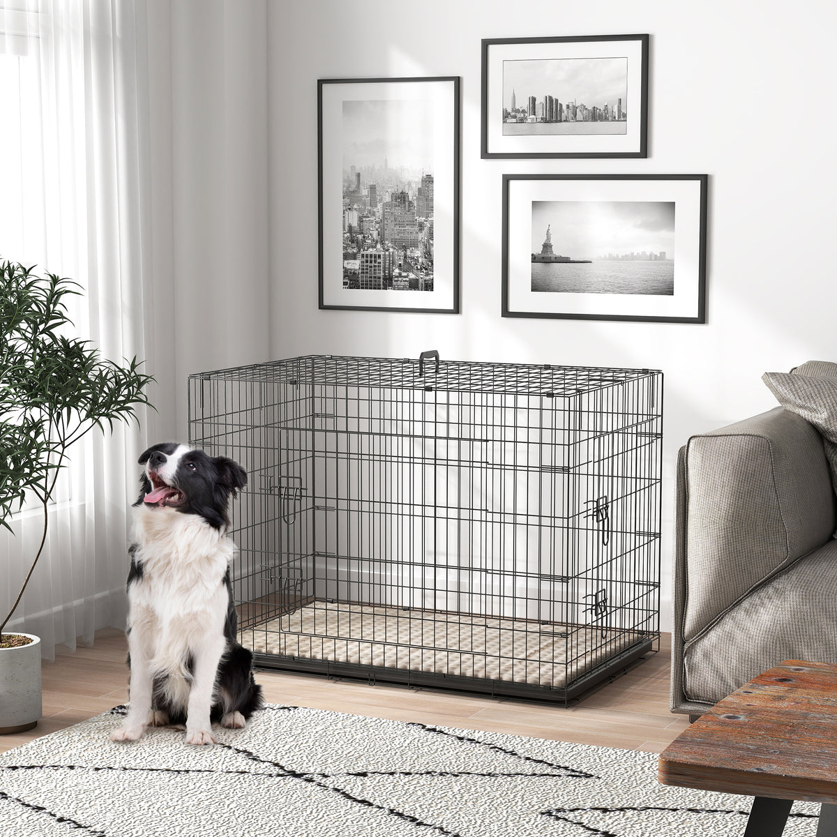 Folding Metal Dog Crate with Cushion