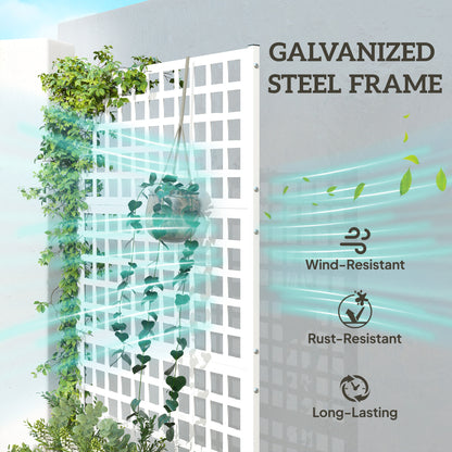 Galvanized Raised Garden Bed with Trellis