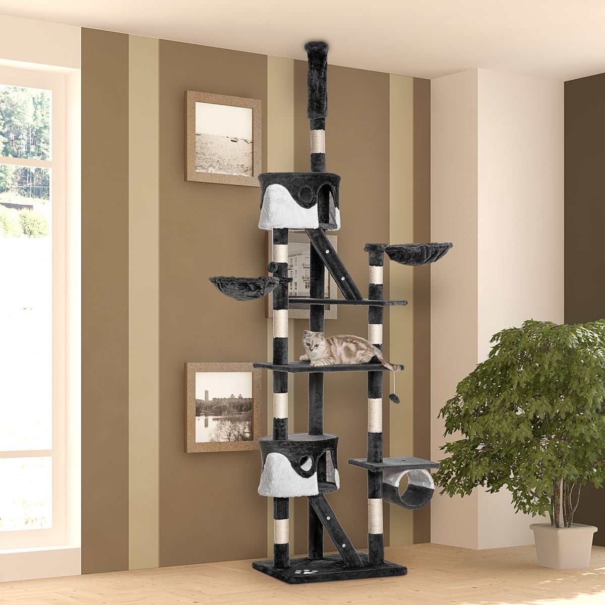 Árbol para gatos multinivel ajustable 240-260 cm