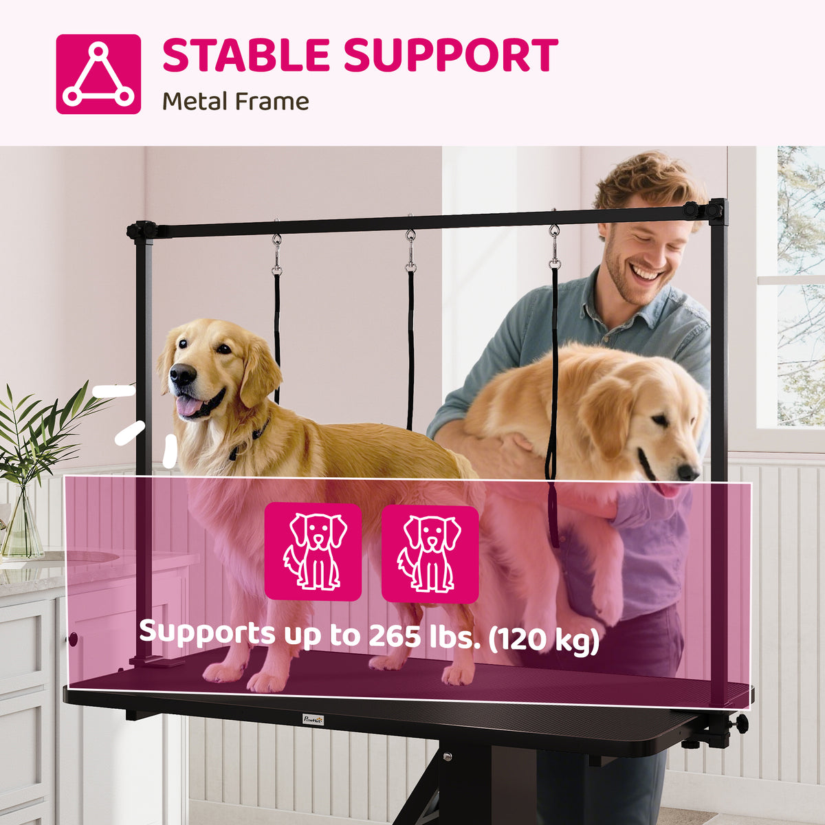 Hydraulic Z-Lift Dog Grooming Table