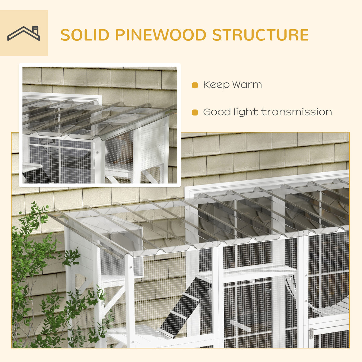 Large Outdoor Cat Enclosure with Condos and Platforms