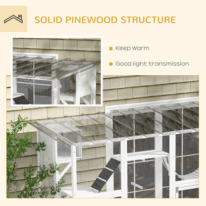 Large Outdoor Cat Enclosure with Condos and Platforms