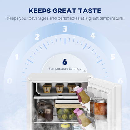 Compact Mini Fridge 69 L with Freezer