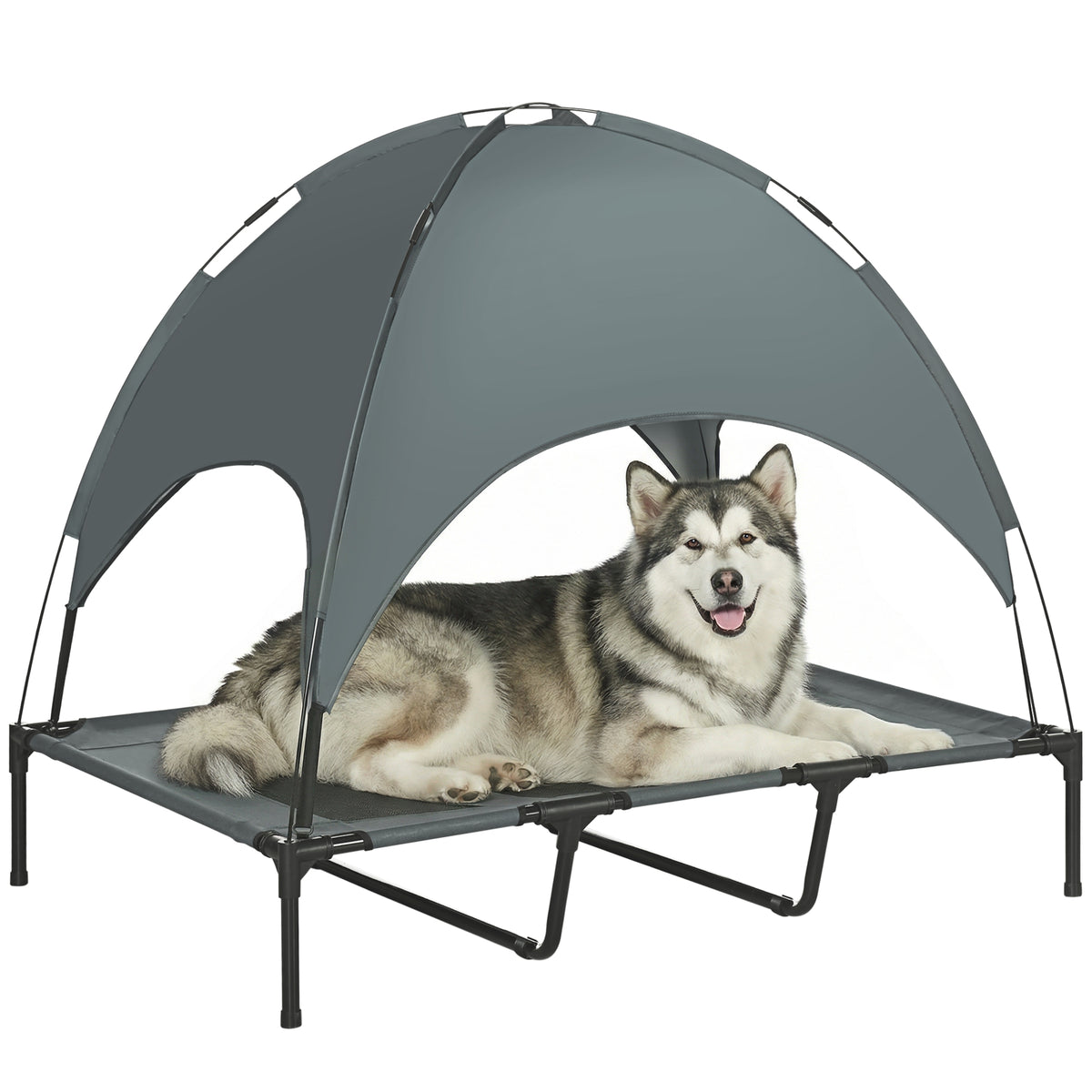 Elevated dog bed with canopy